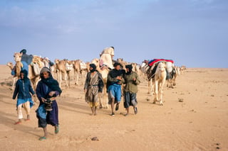 camel_caravan.jpg