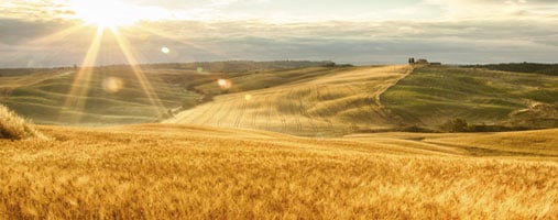 dreaming the earth earthing the dream depth psychology pacifica graduate institute jobs