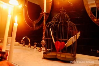 tracy_ferron_walled_woman_heart_cage_copyright_lori_cheung.jpeg